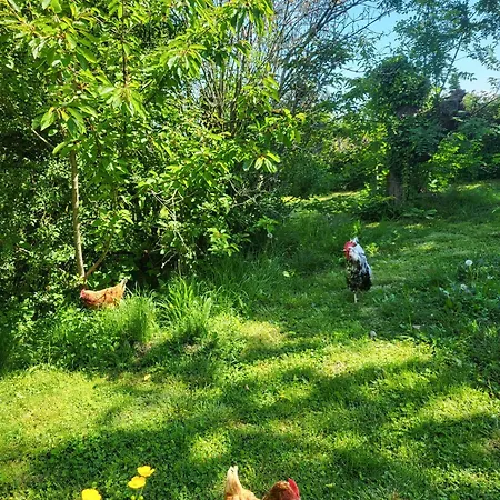 Le Cache, Au Pied Des Chambarans * Saint-Siméon-de-Bressieux