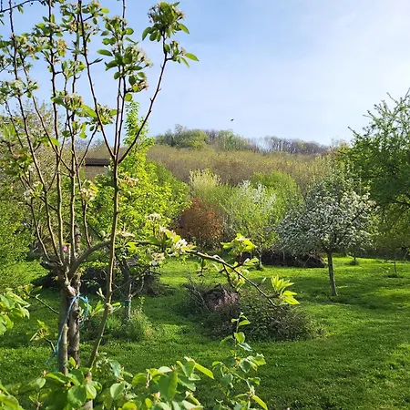 Le Cache, Au Pied Des Chambarans *